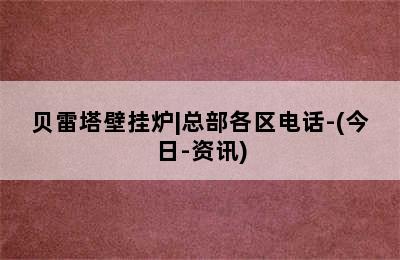 贝雷塔壁挂炉|总部各区电话-(今日-资讯)